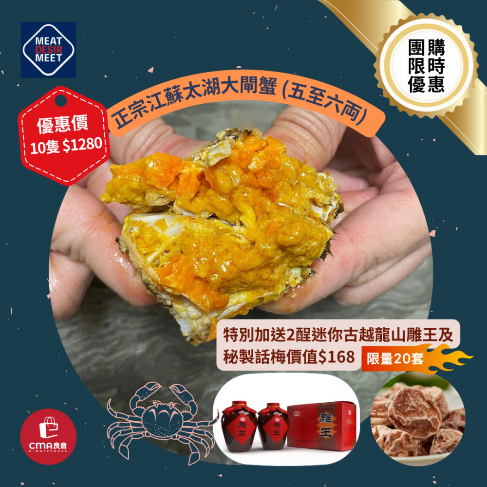 正宗江蘇太湖大閘蟹 - 10隻 (五至六両)