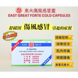 東大傷風感冒靈