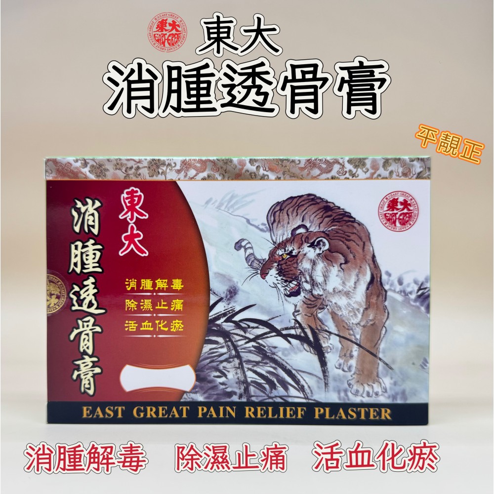 東大消腫透骨膏