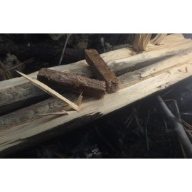 MasterTool-燒烤引火條，引燃條，燒烤點火神器，戶外輔助取火器，燒烤炭精，12支/袋