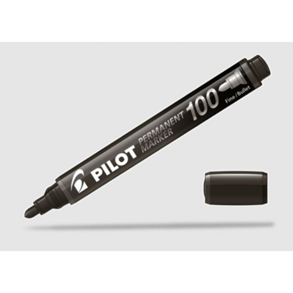 PILOT SCA-100 箱頭筆(圓頭) PILOT SCA-100 箱頭筆(圓頭)