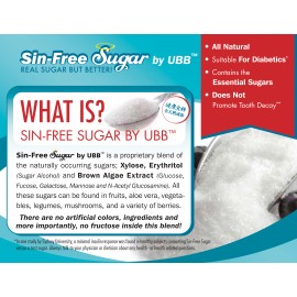 Sin-Free Sugar 健怡木糖 (5克X40小包)