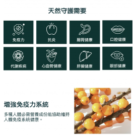 【免疫屏障｜腸胃健康】沙棘高原黃金精華