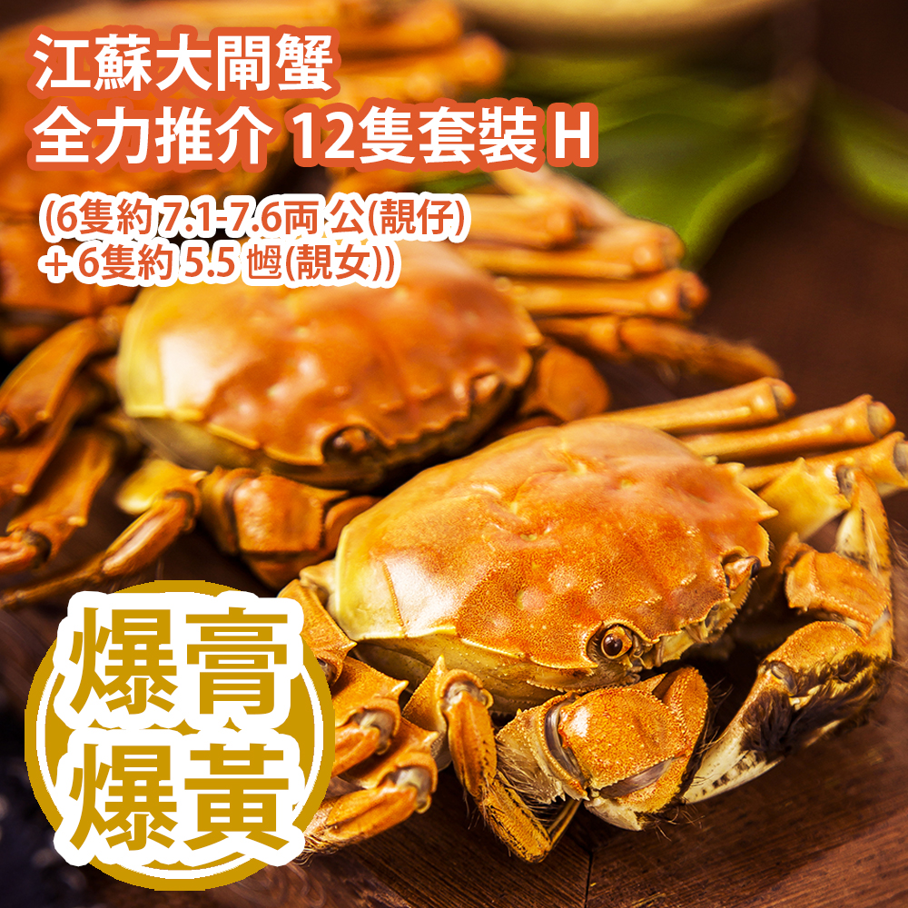 江蘇大閘蟹 全力推介 12隻套裝 H (6隻約 7.1-7.6両 公(靚仔) + 6隻約 5.5 乸(靚女)) Chinese Hairy Crab 12 bundle set H (Approx. 7.1-7.6 tael Male x 6pcs + 5.5 tael Female x 6pcs)