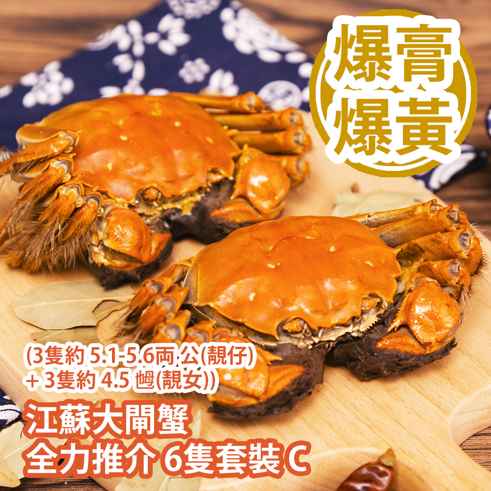 江蘇大閘蟹 全力推介 6隻套裝 C (3隻約 5.1-5.6両 公(靚仔) + 3隻約 4.5 乸(靚女)) Chinese Hairy Crab 6 bundle set C (Approx. 5.1-5.6 tael Male x 3pcs + 4.5 tael Female x 3pcs)