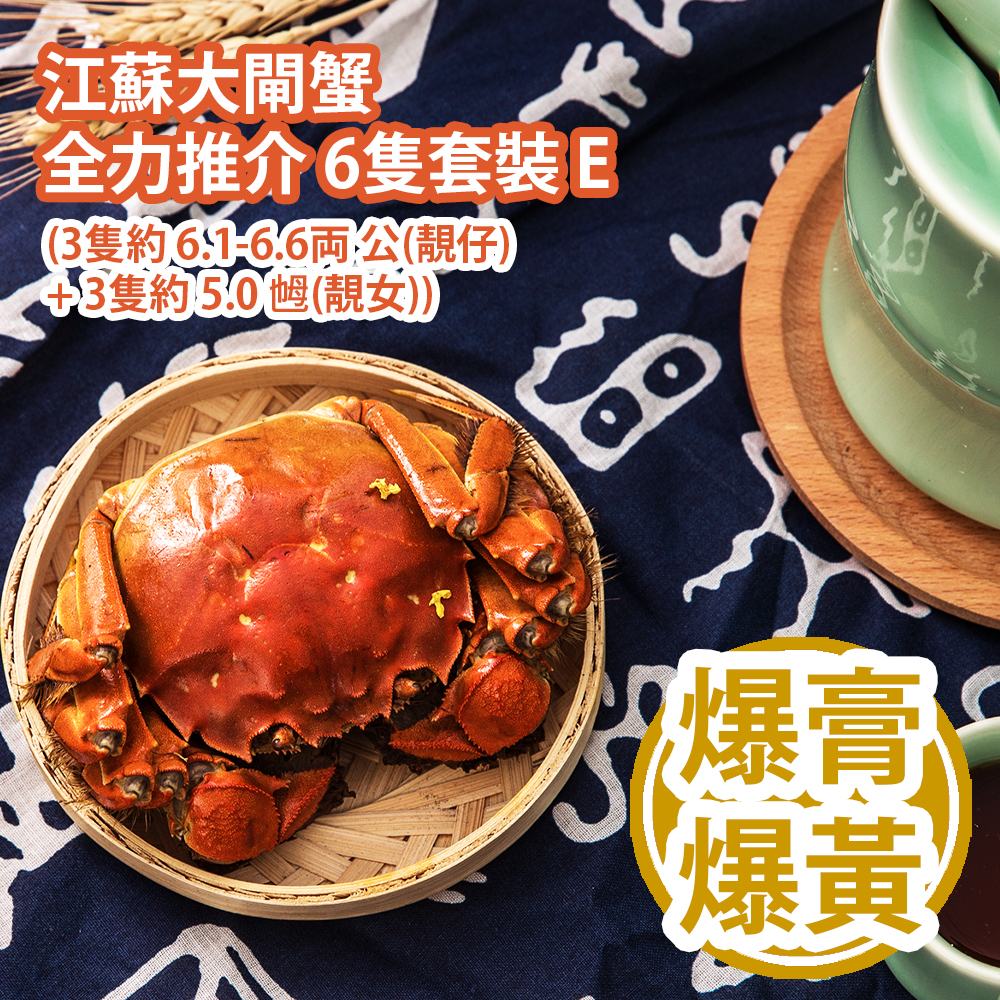 江蘇大閘蟹 全力推介 6隻套裝 E (3隻約 6.1-6.6両 公(靚仔) + 3隻約 5.0 乸(靚女)) Chinese Hairy Crab 6 bundle set E (Approx. 6.1-6.6 tael Male x 3pcs + 5.0 tael Female x 3pcs)