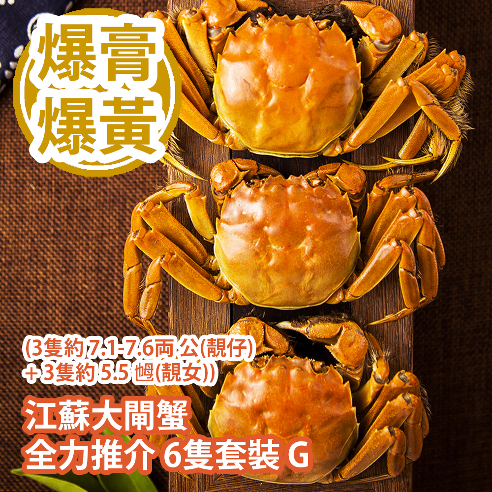 江蘇大閘蟹 全力推介 6隻套裝 G (3隻約 7.1-7.6両 公(靚仔) + 3隻約 5.5 乸(靚女)) Chinese Hairy Crab 6 bundle set G (Approx. 7.1-7.6 tael Male x 3pcs + 5.5 tael Female x 3pcs)