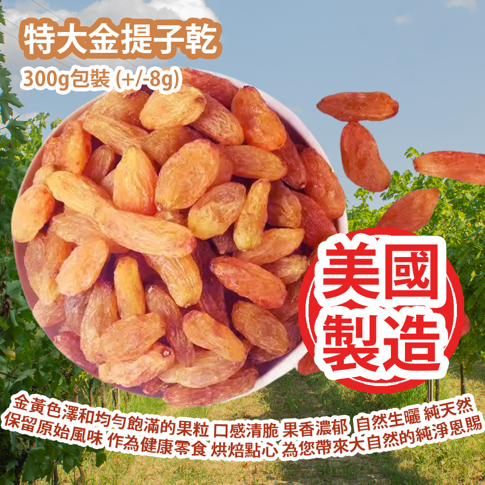 [原價 $128] 特大金提子乾 300g包裝 (+/-8g) 金黃色澤和均勻飽滿的果粒 口感清脆 果香濃郁  自然生曬 純天然 保留原始風味 作為健康零食還是烘焙點心 都能為您帶來來自大自然的純淨恩賜 美國製造 平行進口產品 Extra Large Golden Raisins 300g (+/-8g) Made in USA Parallel import goods