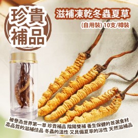 [原價 $888] [珍貴補品] 滋補凍乾冬蟲夏草 (自用裝) 10支/樽裝 被譽為世界第一草 珍貴補品 陰陽雙補 養生保健的首選食材 高品質的滋補佳品 冬蟲的溫性 又具備夏草的涼性 天然滋補品 平行進口貨品 Freeze-dried Cordyceps Sinensis (Personal use) 10 pcs/bottle Parallel Import goods