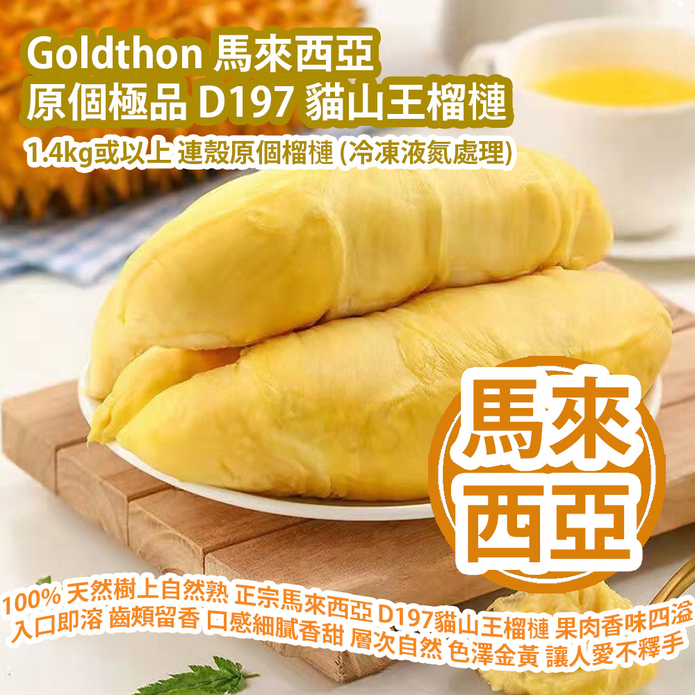 Goldthon 馬來西亞原個極品 D197 貓山王榴槤 (1.4kg或以上 連殼原個榴槤) (冷凍液氮處理) 100% 天然樹上自然熟 正宗馬來西亞 D197貓山王榴槤 貓山王榴槤果肉香味四溢 入口即溶 齒頰留香 口感細膩香甜 味覺層次自然 色澤金黃 明亮 讓人愛不釋手 馬來西亞製造 平行進口貨品  Goldthon Malaysia Original D197 Musang King Durian (1.4kg or above and whole durian with shell) 