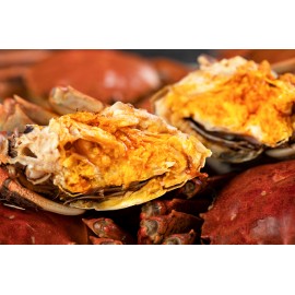 江蘇大閘蟹 全力推介 12隻套裝 H (6隻約 7.1-7.6両 公(靚仔) + 6隻約 5.5 乸(靚女)) Chinese Hairy Crab 12 bundle set H (Approx. 7.1-7.6 tael Male x 6pcs + 5.5 tael Female x 6pcs)