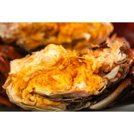 江蘇大閘蟹 全力推介 12隻套裝 H (6隻約 7.1-7.6両 公(靚仔) + 6隻約 5.5 乸(靚女)) Chinese Hairy Crab 12 bundle set H (Approx. 7.1-7.6 tael Male x 6pcs + 5.5 tael Female x 6pcs)