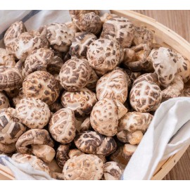 [珍貴送禮] 韓國無腳花菇 1斤(600g)盒裝 超高質 撈埋鮑魚一齊食 真係超正 花菇嫩滑香甜 食過都有讚冇彈 勁厚身 粒粒尺寸岩岩好 口感爽滑 菇味香口濃郁 營養價值十分豐富 平行進口貨品  [Precious Gift] Korea Footless Mushrooms 600g/Box Parallel Import goods