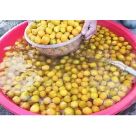 古法蜜糖金桔乾 500g罐裝 (+/−8g) 古法腌製 純手工製作 結合了蜂蜜的甜美和金桔的鮮甘 潤喉解渴 開胃消食的美味 為您帶來前所未有的口感享受 平行進口貨品  Honey Dried Kumquat 500g/Can (+/−8g) Parallel Import goods