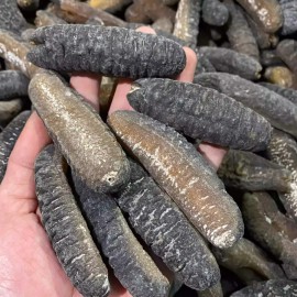 精選禿參仔 150g包裝 (+/−6g) (約 23 - 28條) 營養價值非常高  水質非常好 經濟實惠 發頭很好 澳洲禿参 美容養顏 蛋白質含量極其高 補血補鈣 增強免疫力 含有18種氨基酸 提高人體免疫力 澳洲製造 平行進口貨品  Best Chosen Sea Cucumber 150g/Bag (+/−6g) (about 23 to 28pieces) Made in Australia Parallel Import goods