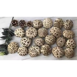 [珍貴送禮] 日本白花菇仔 x 金龍花膠筒禮盒裝 (150g/日本白花菇仔 100g/金龍花膠筒) 珍貴交匯 無論是送禮或自用 一種特別的方式來表達我們的關愛和尊重 蔘茸海味的極致享受 平行進口貨品 [Precious Gift] Japanese Mushroom x Dried Fish Maw/Gift box (150g/Japanese Mushroom 100g/Dried Fish Maw) Parallel Import goods