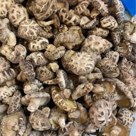 [珍貴送禮] 日本白花菇仔 x 金龍花膠筒禮盒裝 (150g/日本白花菇仔 100g/金龍花膠筒) 珍貴交匯 無論是送禮或自用 一種特別的方式來表達我們的關愛和尊重 蔘茸海味的極致享受 平行進口貨品 [Precious Gift] Japanese Mushroom x Dried Fish Maw/Gift box (150g/Japanese Mushroom 100g/Dried Fish Maw) Parallel Import goods