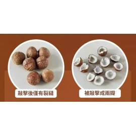 非洲特產海椰皇 BB 200g包裝 (+/−8g) 約32-40粒 熱帶森林的棕櫚樹的果實 其籽小 味道濃香 椰汁水豐潤細滑 營養功效十分顯著 遠勝其它品種的椰子 最上乘的屬非州海椰皇 其以產量少 品質優 效果佳而揚名世界 超級潤肺止咳 四季佳宜 不寒不熱 大人小朋友一樣得 非洲製造 平行進口貨品  African Coconut King BB 200g/Bag (+/−8g) About 32-40pcs Made in Africa Parallel Import goods