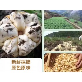 貢品百合皇 300g包裝 (+/−8g) 百合中極品 精挑細選 百合味甘  具有養陰潤肺 清心安神 潤肺止咳 潤燥清熱 美容養顏 對皮膚細胞新陳代謝有幫助 改善皮膚狀態 平行進口貨品  Dried Lily Bulbs 300g/Bag (+/−8g) Parallel Import goods