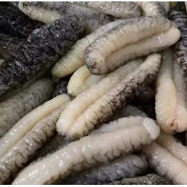 精選禿參仔 150g包裝 (+/−6g) (約 23 - 28條) 營養價值非常高  水質非常好 經濟實惠 發頭很好 澳洲禿参 美容養顏 蛋白質含量極其高 補血補鈣 增強免疫力 含有18種氨基酸 提高人體免疫力 澳洲製造 平行進口貨品  Best Chosen Sea Cucumber 150g/Bag (+/−6g) (about 23 to 28pieces) Made in Australia Parallel Import goods