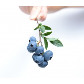 美國藍莓乾 200g罐裝 (+/−8g) 藍莓乾未經壓榨 以整顆藍莓製成 不含防腐劑及人工添加物有豐富維他命 藍莓低卡路里又營養豐富 這是一種絕妙的天然水果零食 為您帶來美味和營養的完美組合 美國製造 平行進口貨品 American Dried Blueberries 200g/Can (+/−8g) Made in USA Parallel Import goods