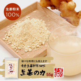 日本 生薑之力 