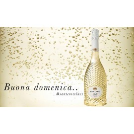 SANTERO - 紐紋系列 Moscato ASTI D.O.C.G.白葡萄氣泡酒