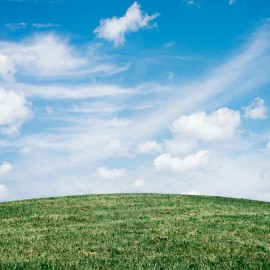 驅蟲、吸濕及空氣清新 (15)